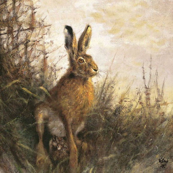 Hare - servietter