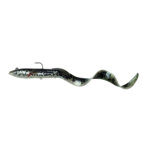 4D Real Eel - Image 2